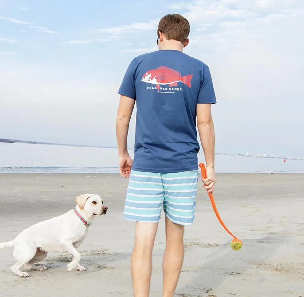 Circle Logo: Short Sleeve T-Shirt - Royal Blue