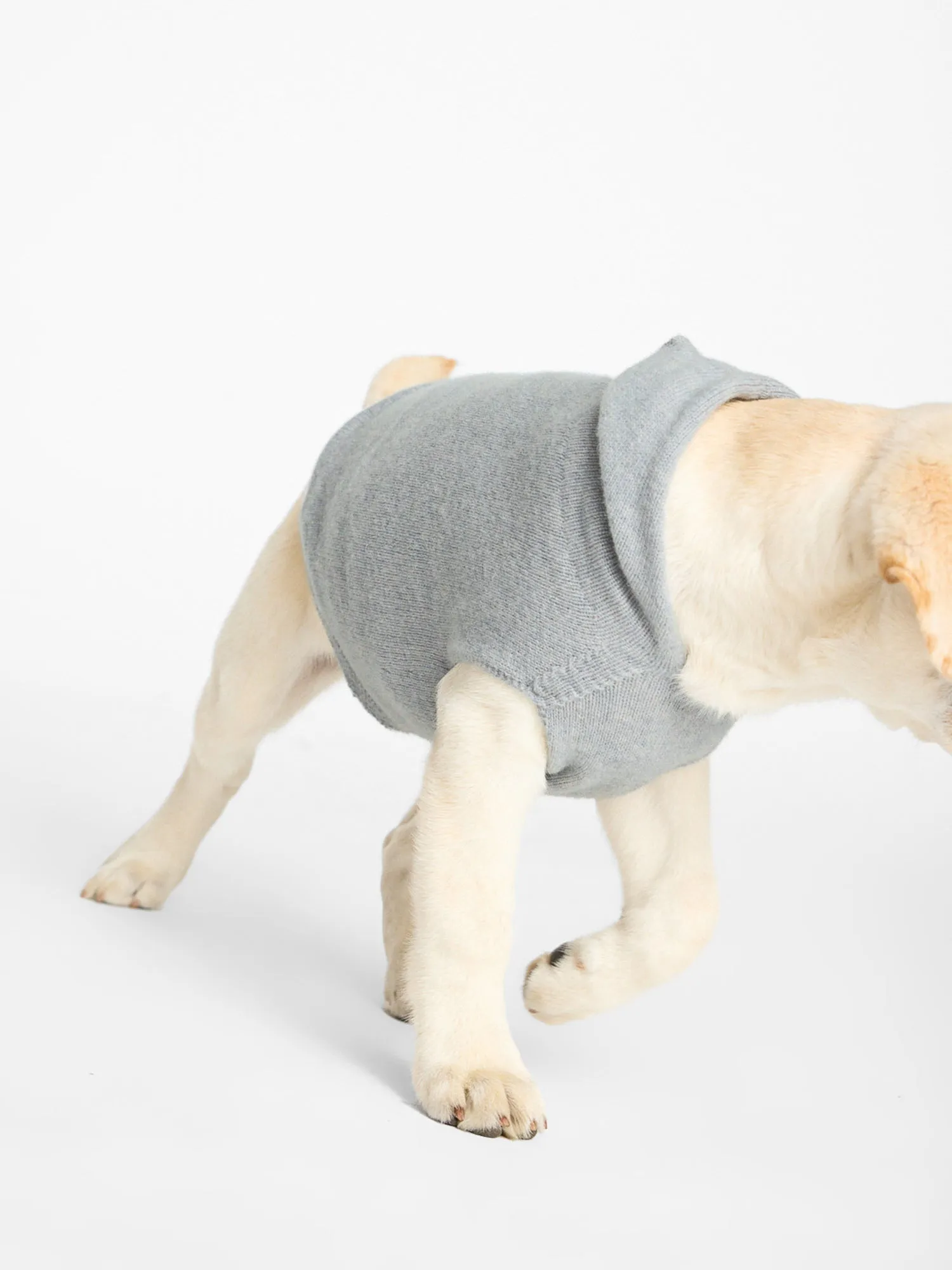 The Cashmere Dog Hoodie